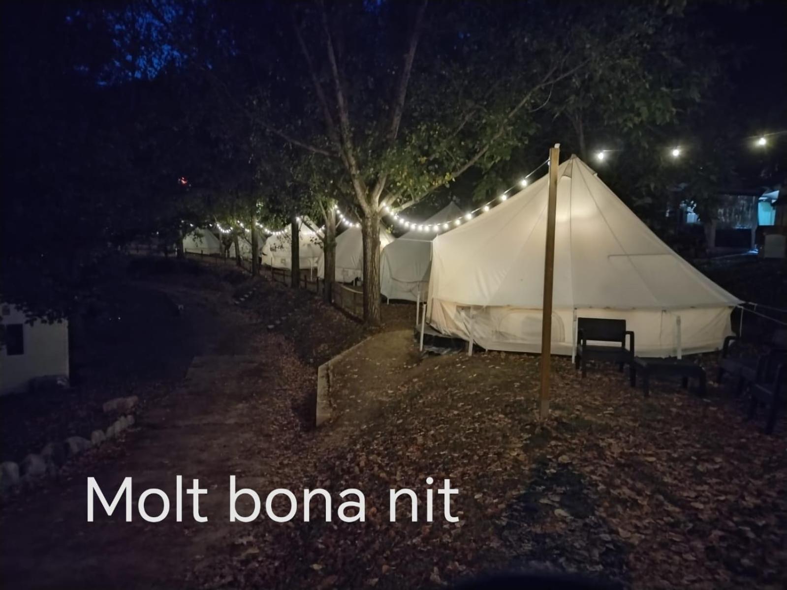 Tiendas Safaris Ripoll Exteriör bild
